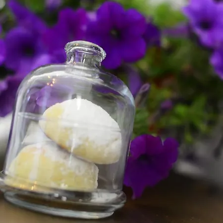 Hotel Alya Ruzgari 2*