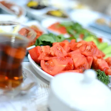 酒店 Alya Ruzgari 2*