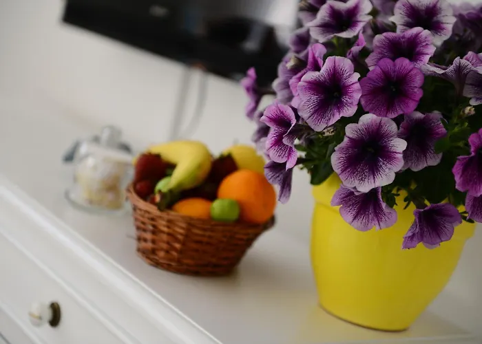 Szálloda Alya Ruzgari 2*