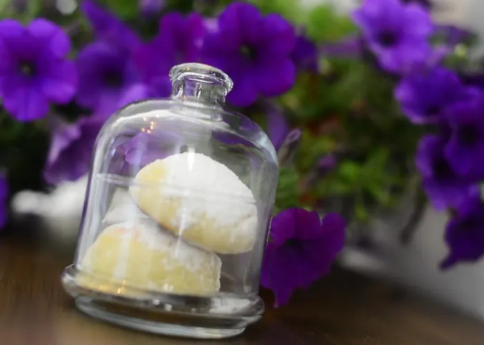 Szálloda Alya Ruzgari 2*